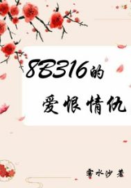 8B316�İ������