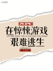 NPC�ھ����Ϸ��������