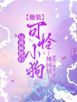 Զ���������װ����С����ͬ��